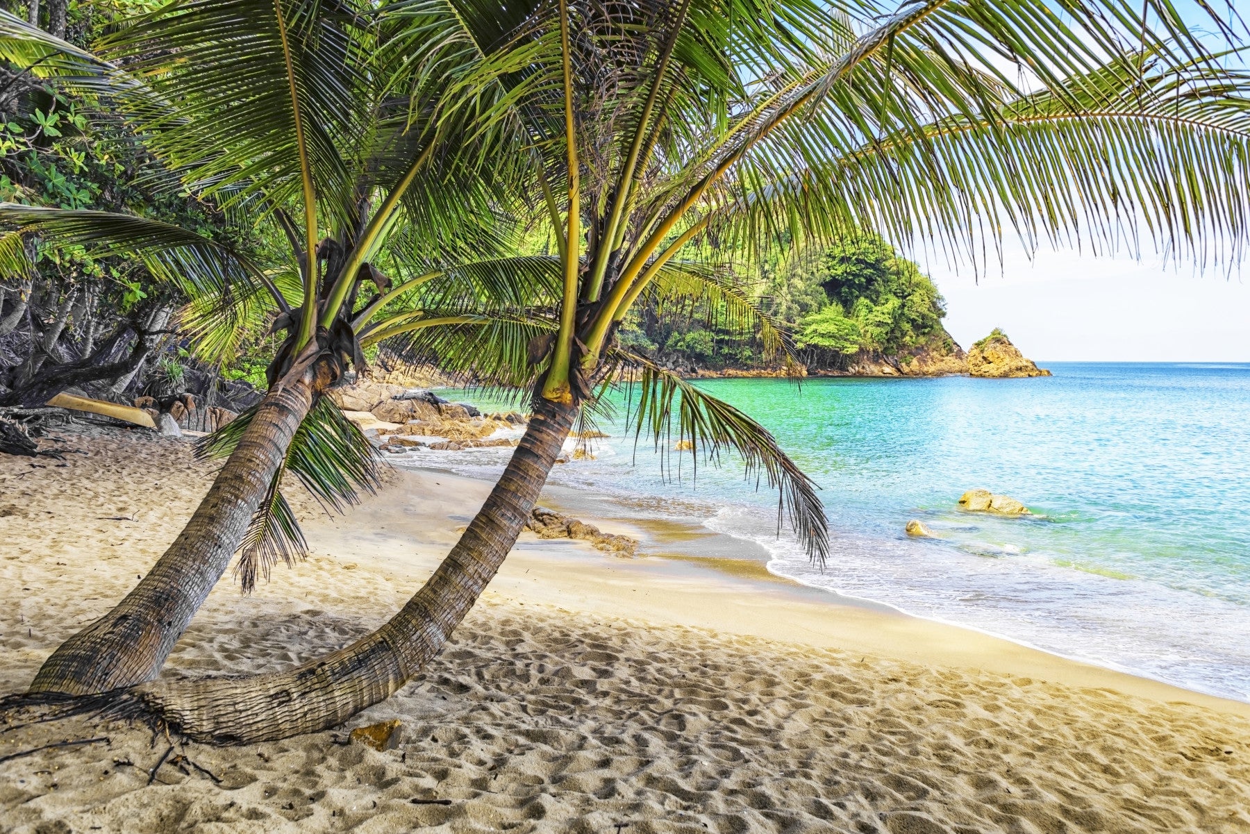 Mural de pared Escape de la playa tropical
