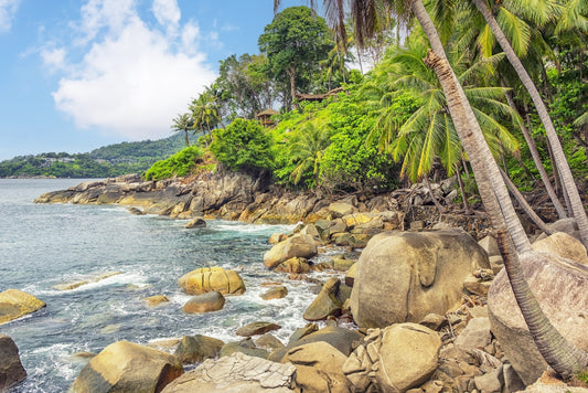 Tropical Shores Wall Mural