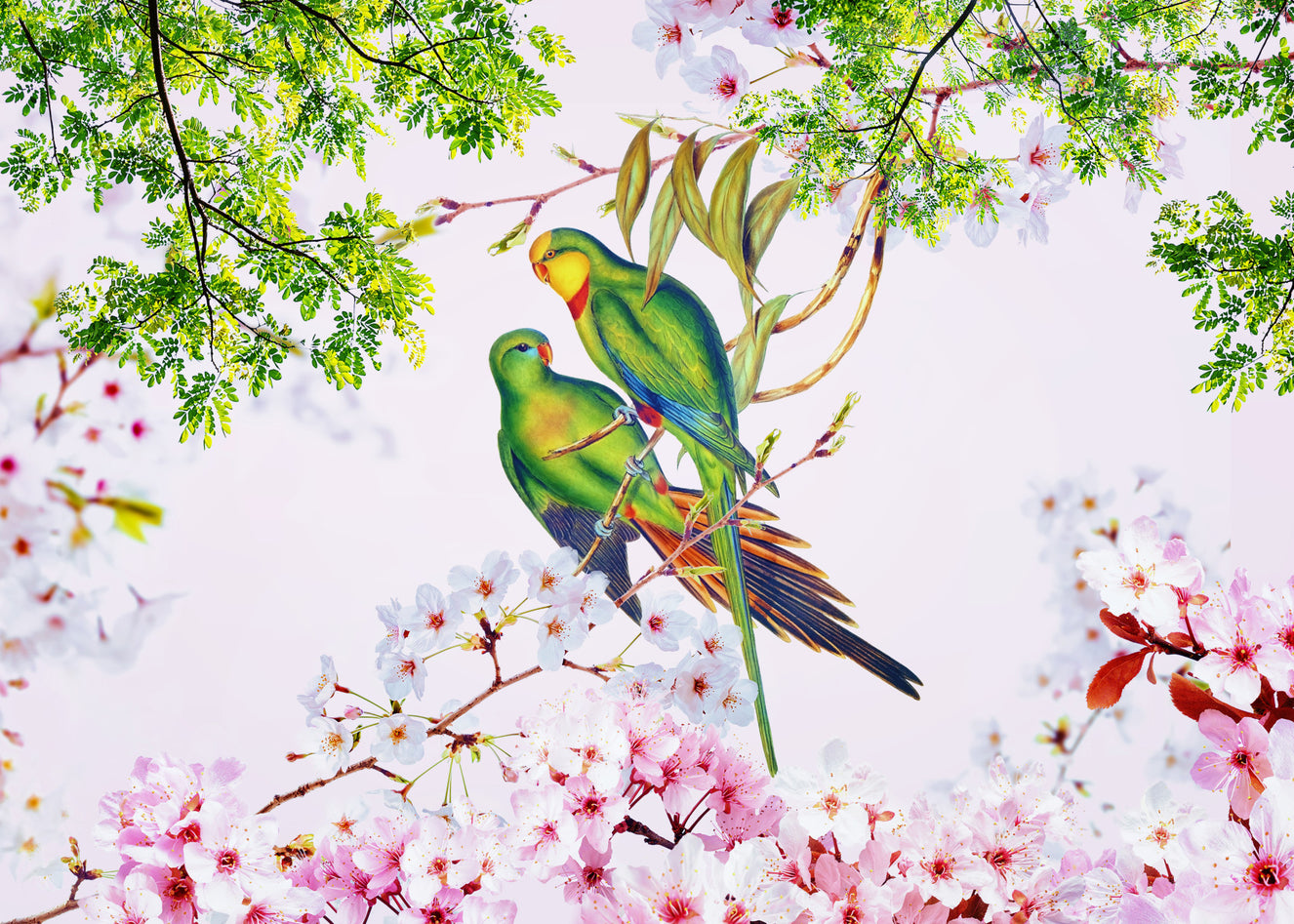 Kirschblüten-Papageien-Wandbild