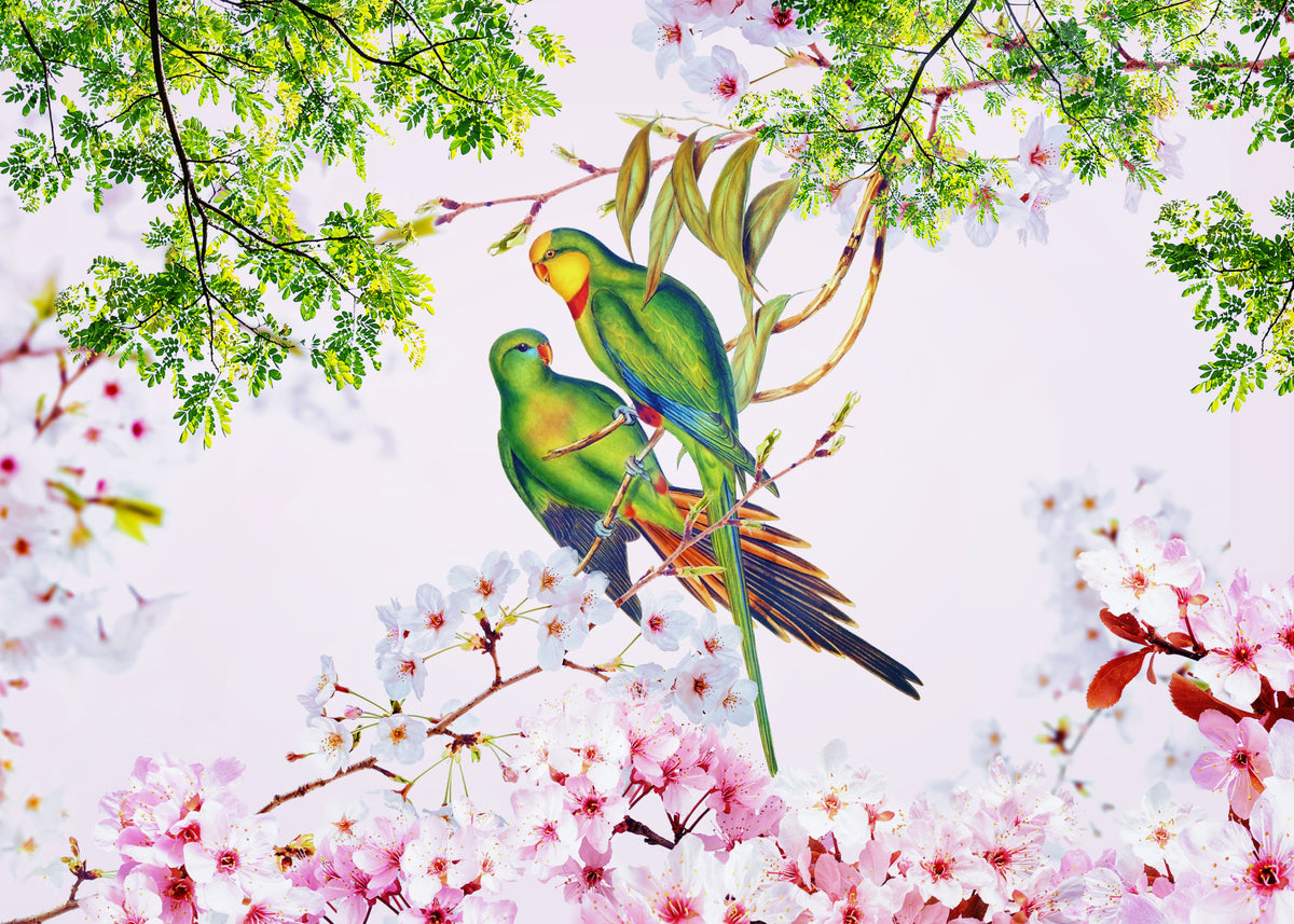 Fresque murale de perroquets en fleurs de cerisier in your room — zoomed