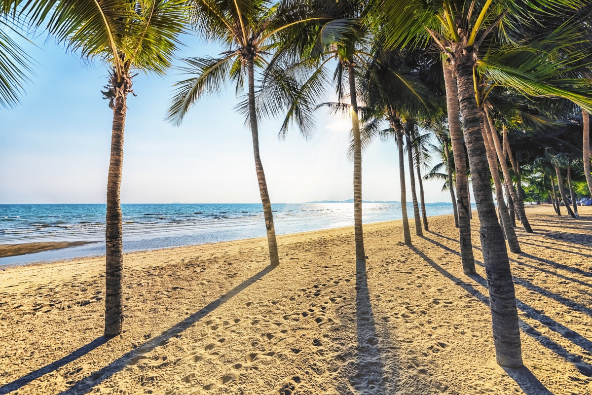 Golden Beach Palms Wall Mural in your room — zoomed