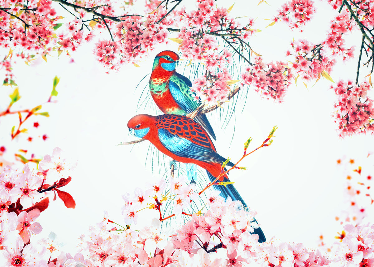 Murale con uccelli in fiore in your room