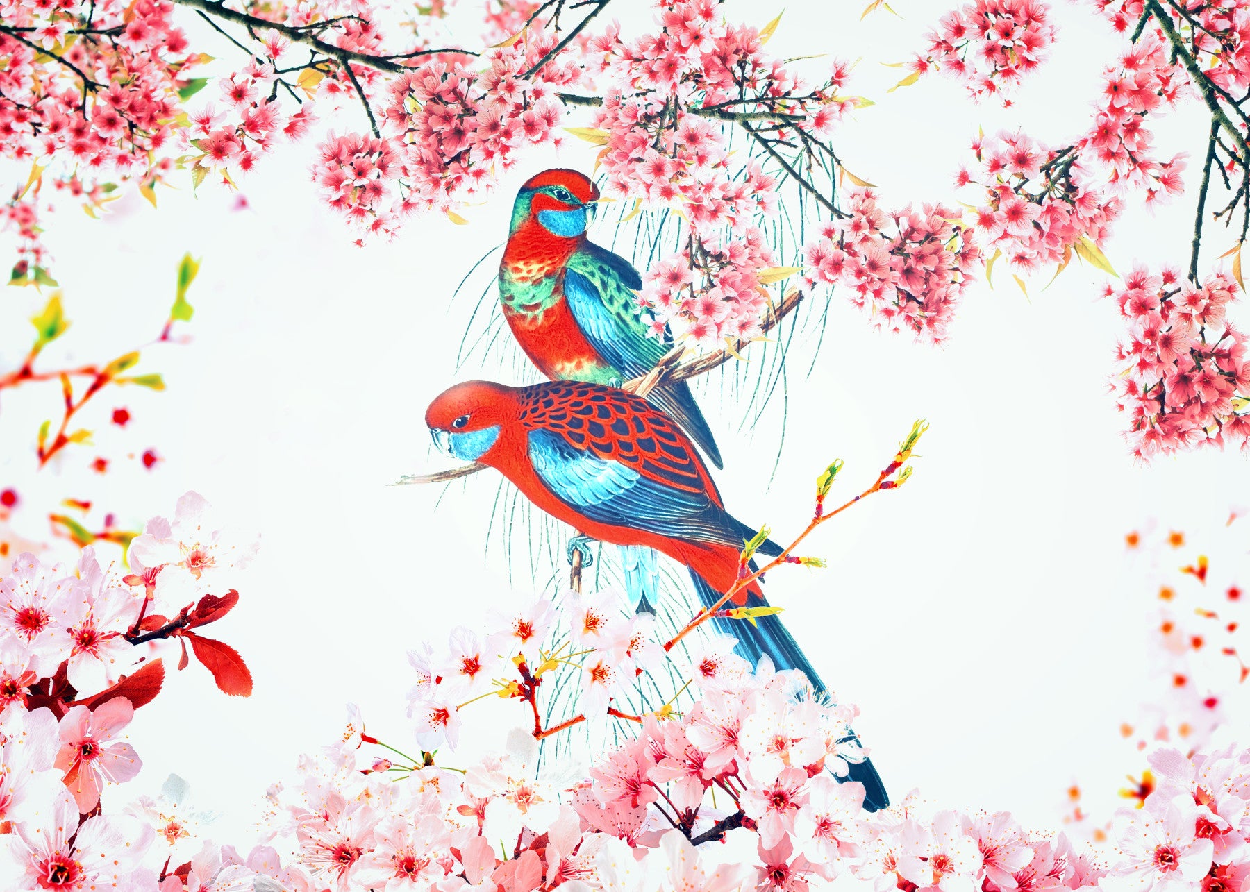 Murale con uccelli in fiore
