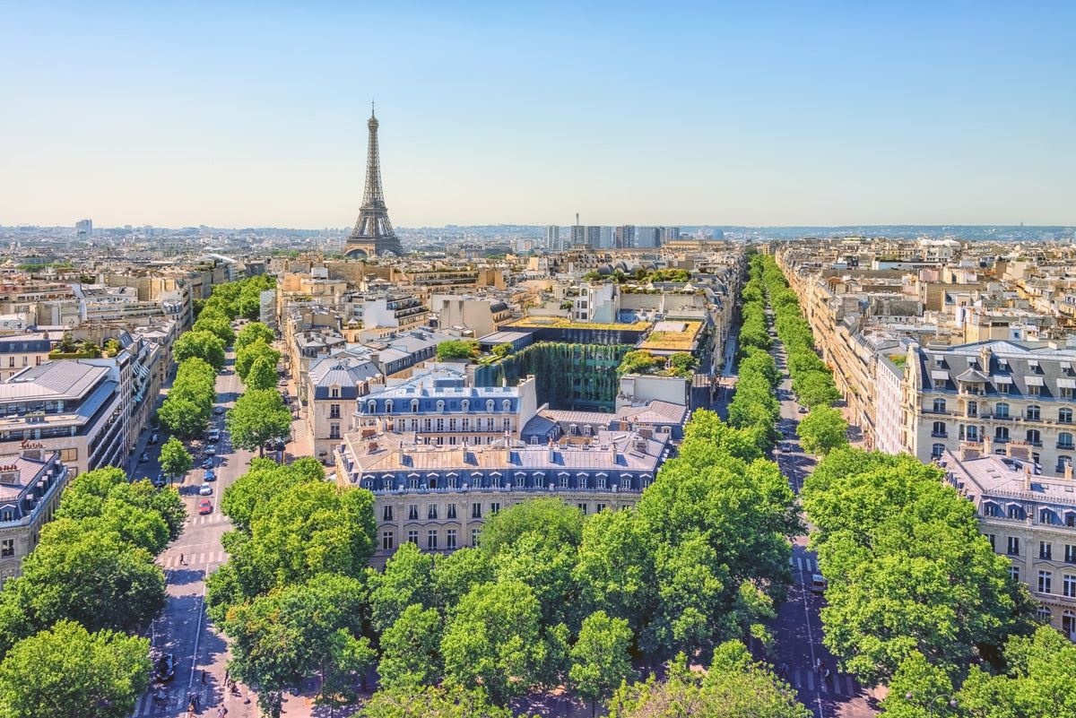 Parisian Heights Wall Mural in your room — zoomed