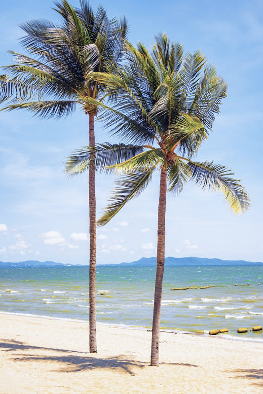 Beachfront Bliss Wall Mural