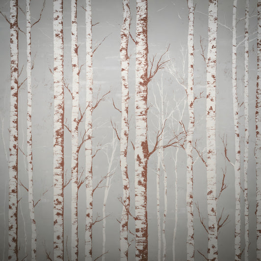 Winter Birch Beauty Wall Mural
