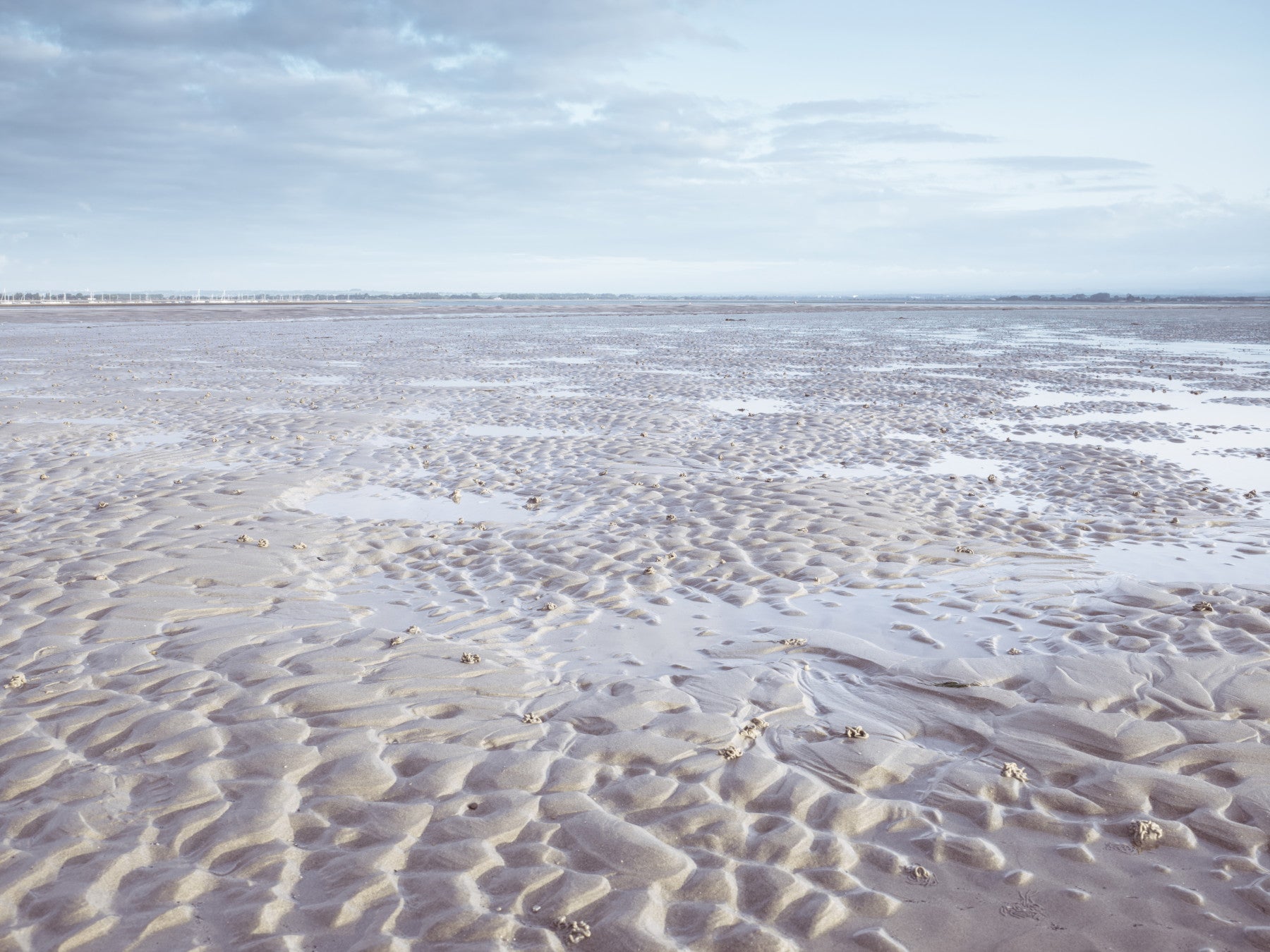 Fototapeta Shoreline Serenity