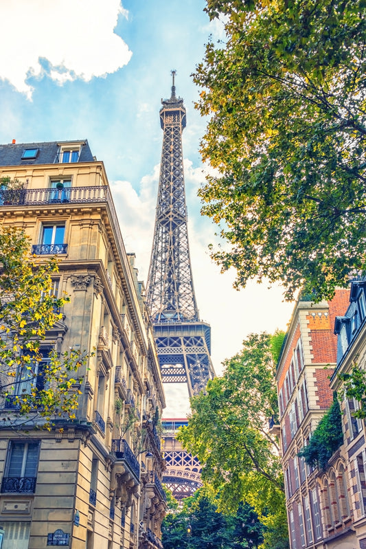 Eiffel Elegant Muurschildering