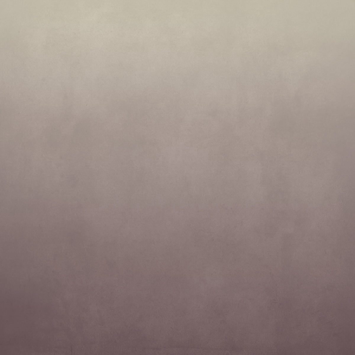 Dirty Paper - Ombre Lilac Wall Mural in your room — zoomed