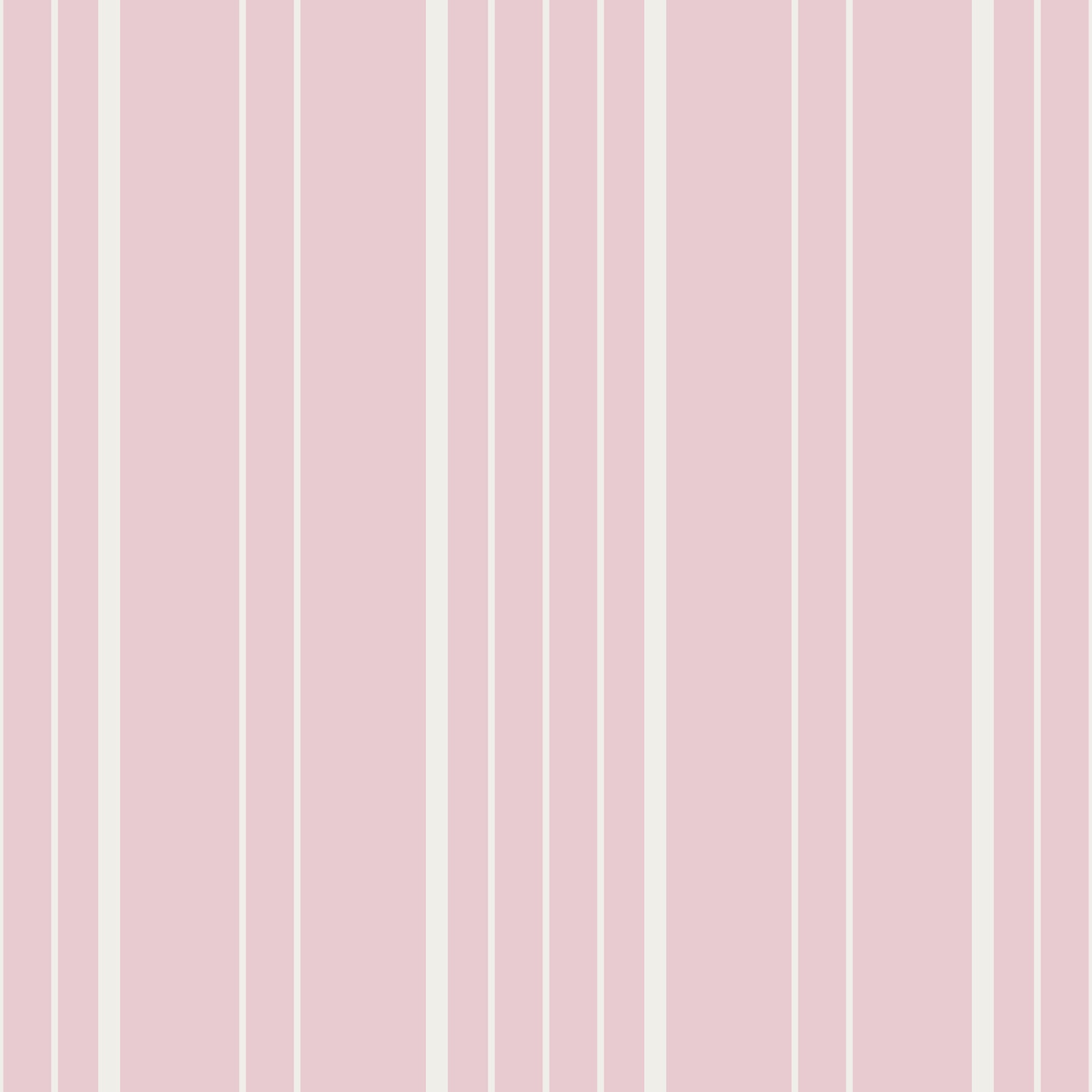 Barely Blush Stripes Wallpaper⁠