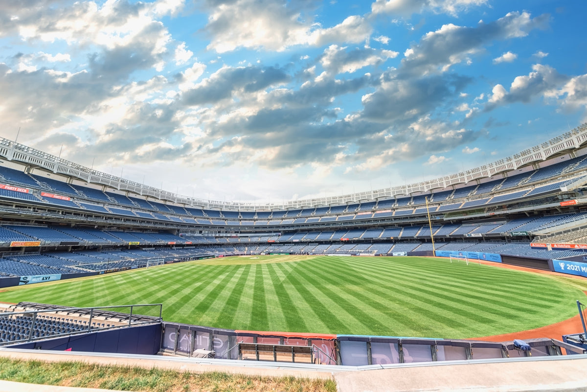 Stadium View Wall Mural in your room