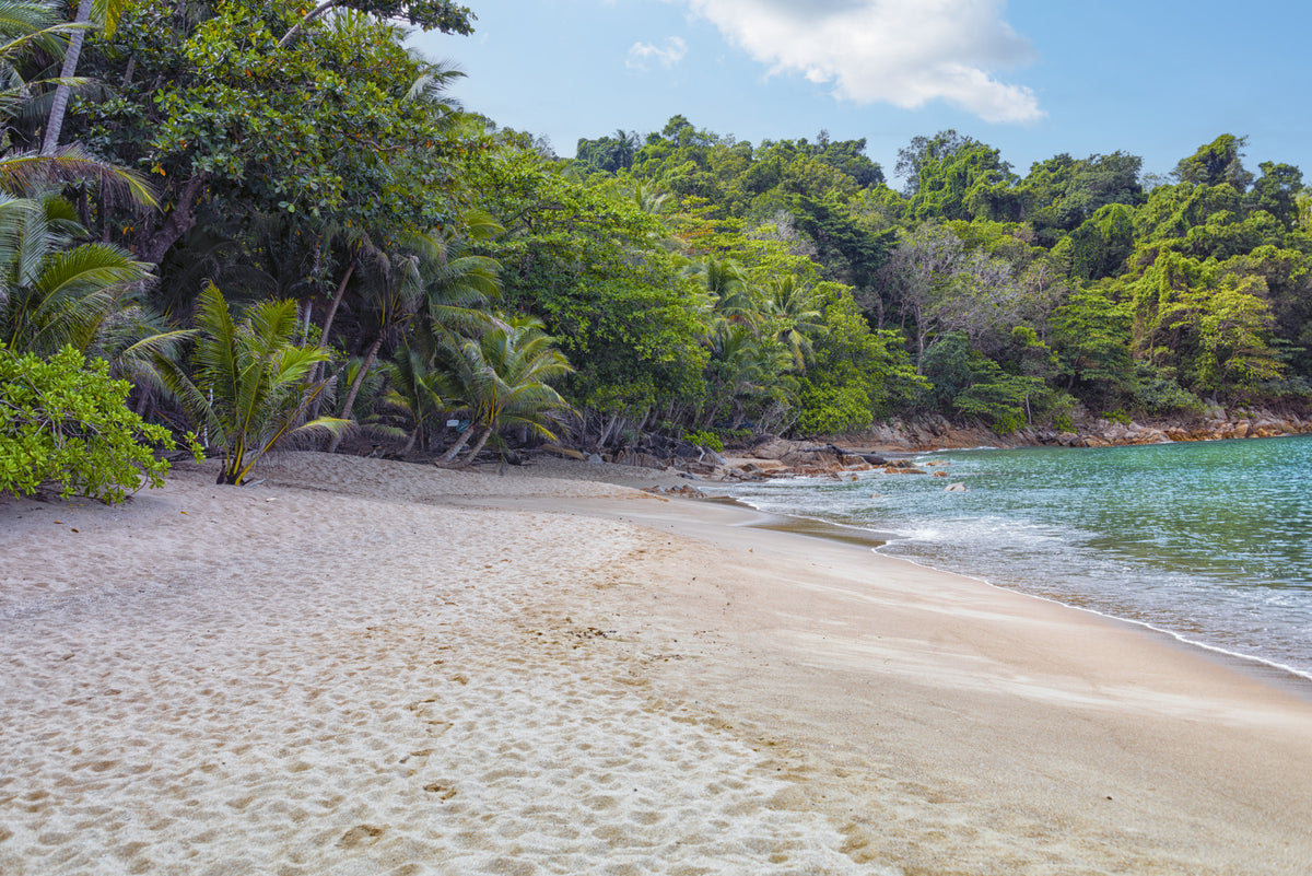 Wandbild „Tropisches Strandparadies“ in your room — zoomed