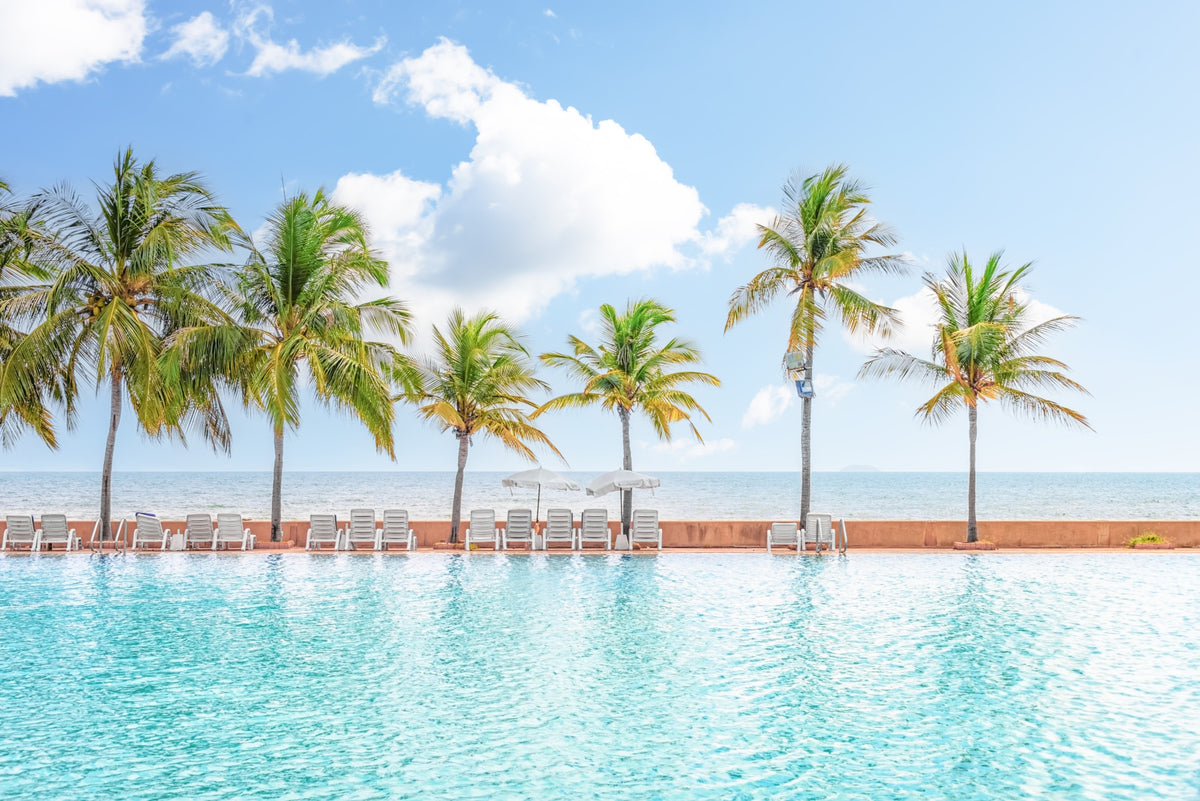 Fresque murale Palm Pool Escape in your room — zoomed