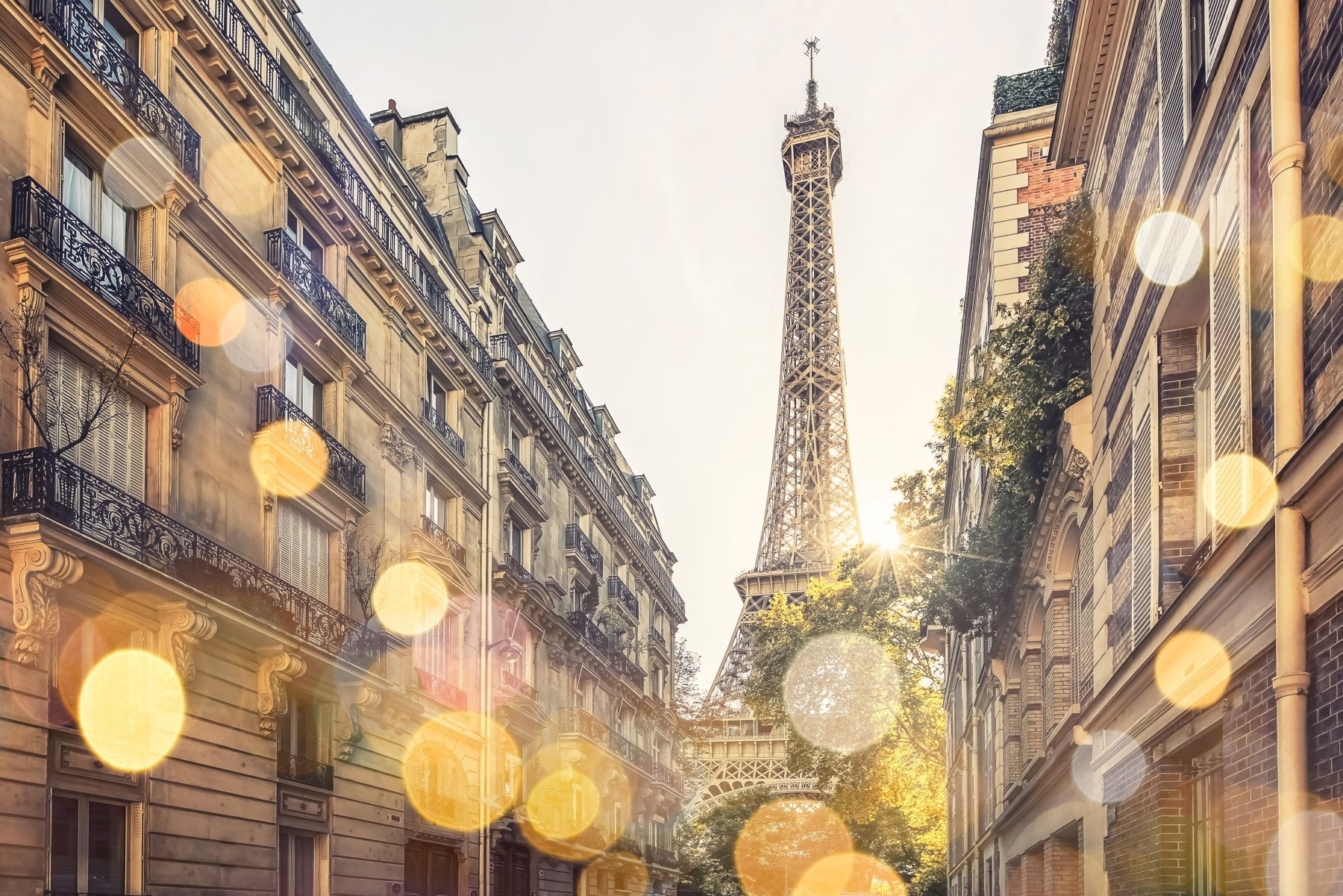 Parisian Glow Wall Mural