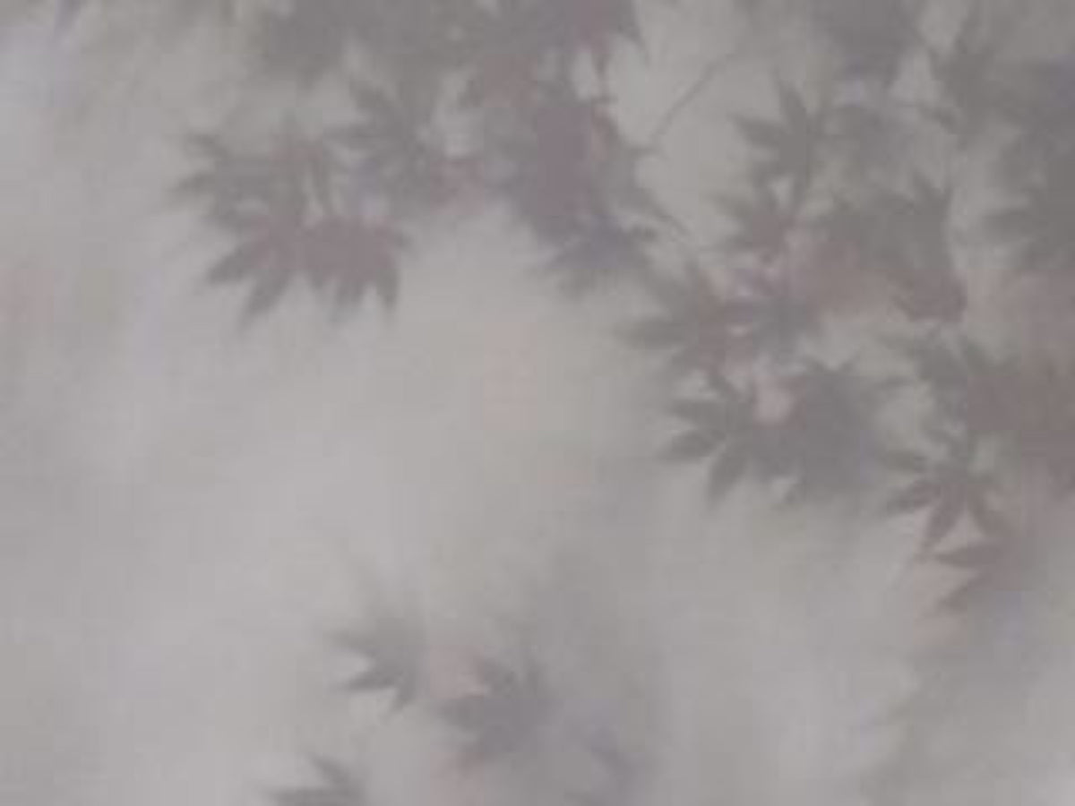 Mural de parede Soft Foliage Haze in your room