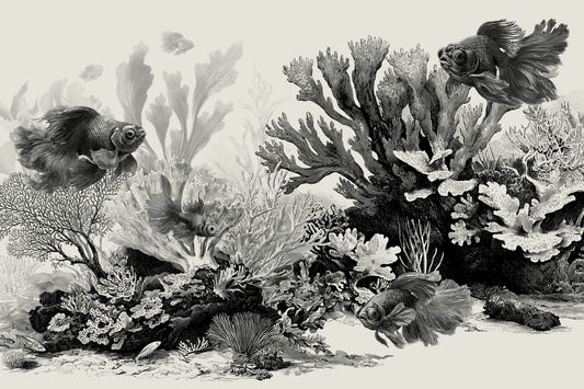 The Aquarium - Black & Cream Wall Mural
