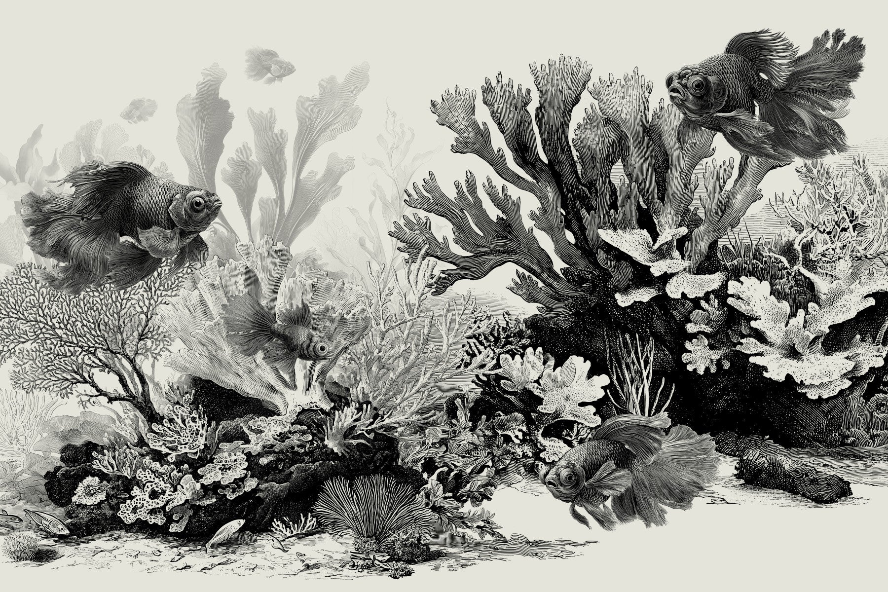 The Aquarium - Black & Cream Wall Mural