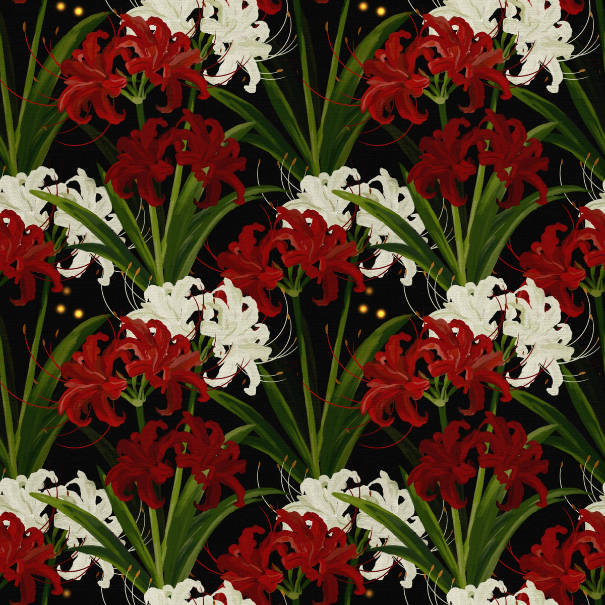 Tapet cu model romantic de crin păianjen Lycoris Radiata Midnight in your room — zoomed