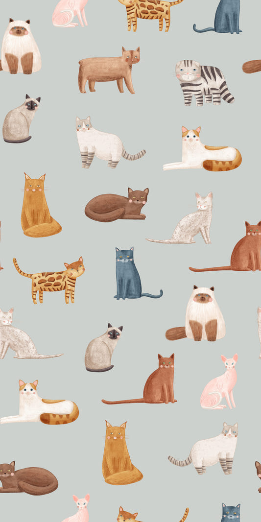 Coole Katzen auf blauer Tapete