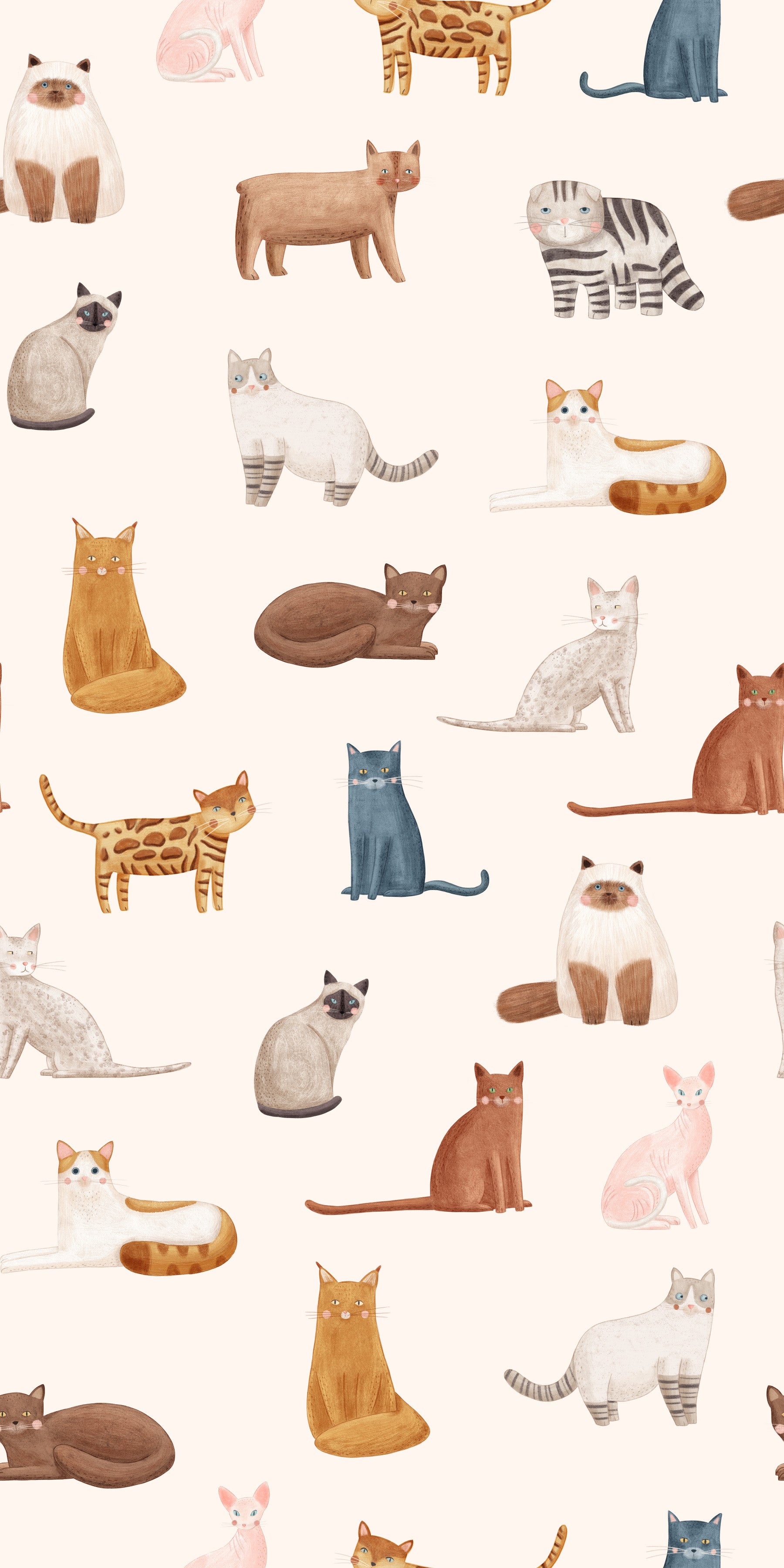 完璧な猫の壁紙⁠