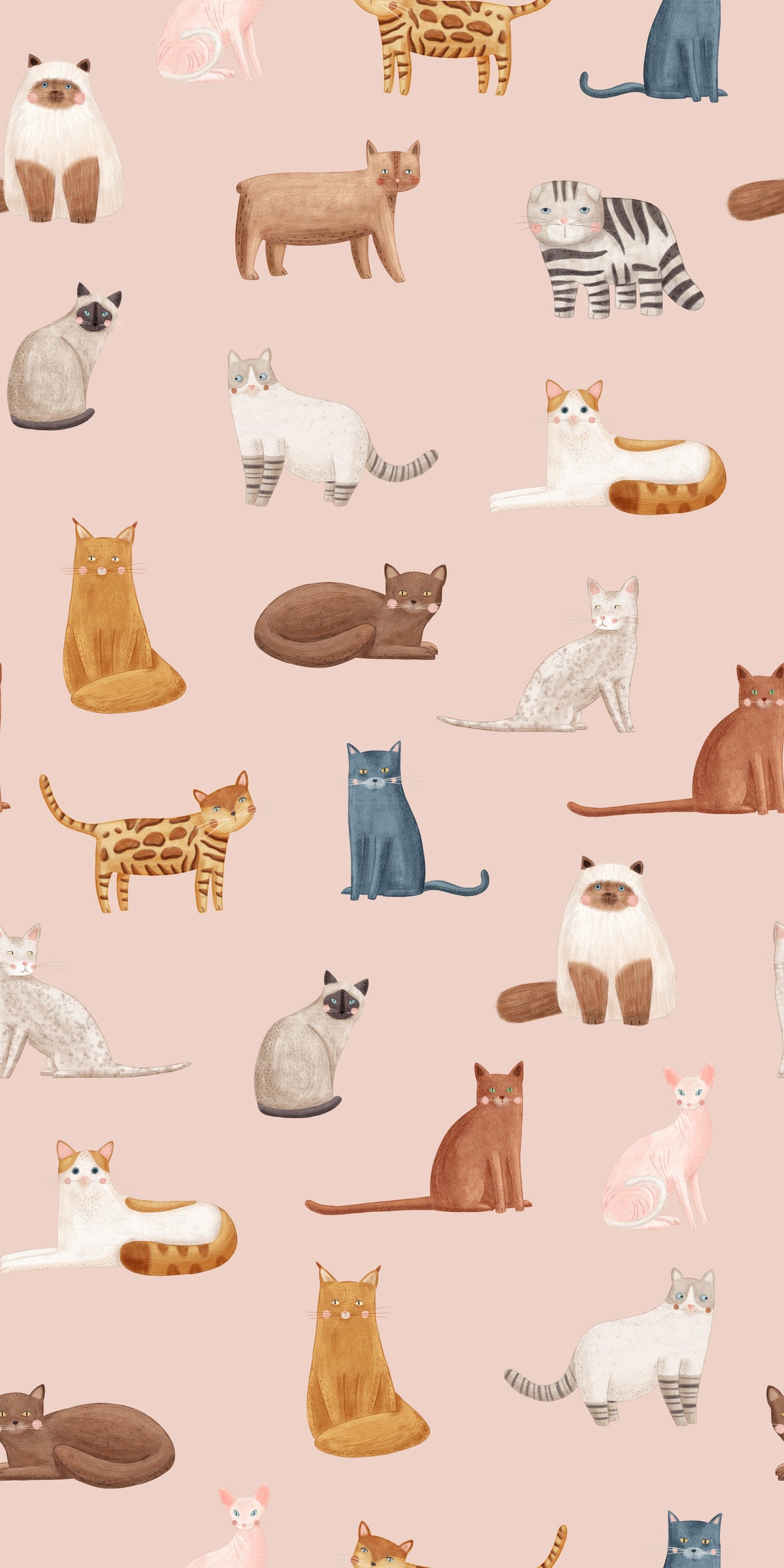 Fondo de pantalla de gatos geniales en rosa