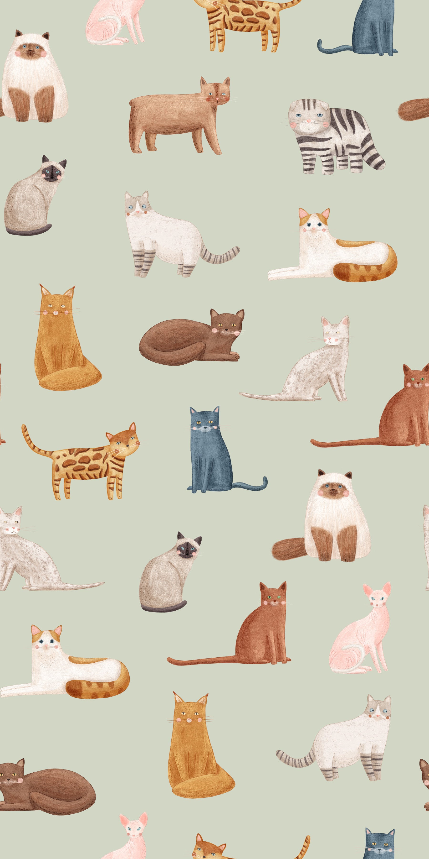 Papier peint Chats Cools Vert Sauge
