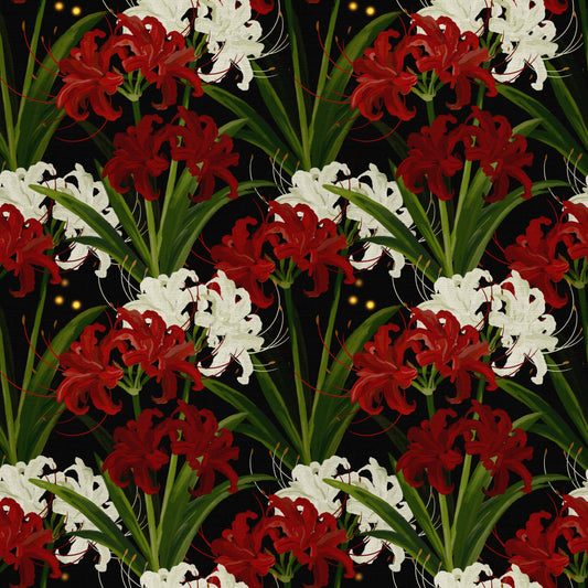 Lycoris Noir Midnight Romance – Wandbild mit weiß-roten Blüten