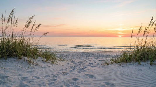 Sunrise Shores Wall Mural