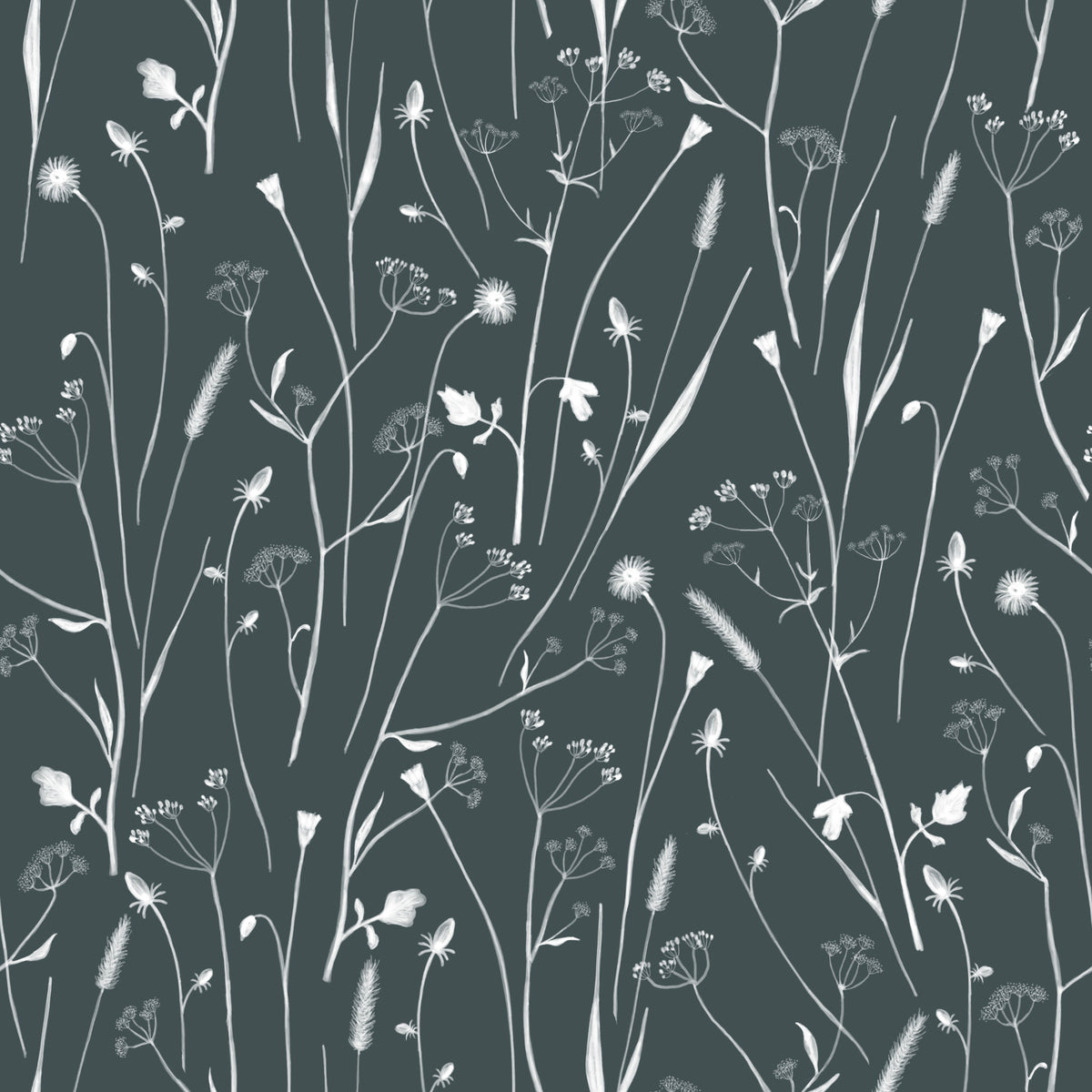 Homeland Floral Outer Space Wallpaper⁠