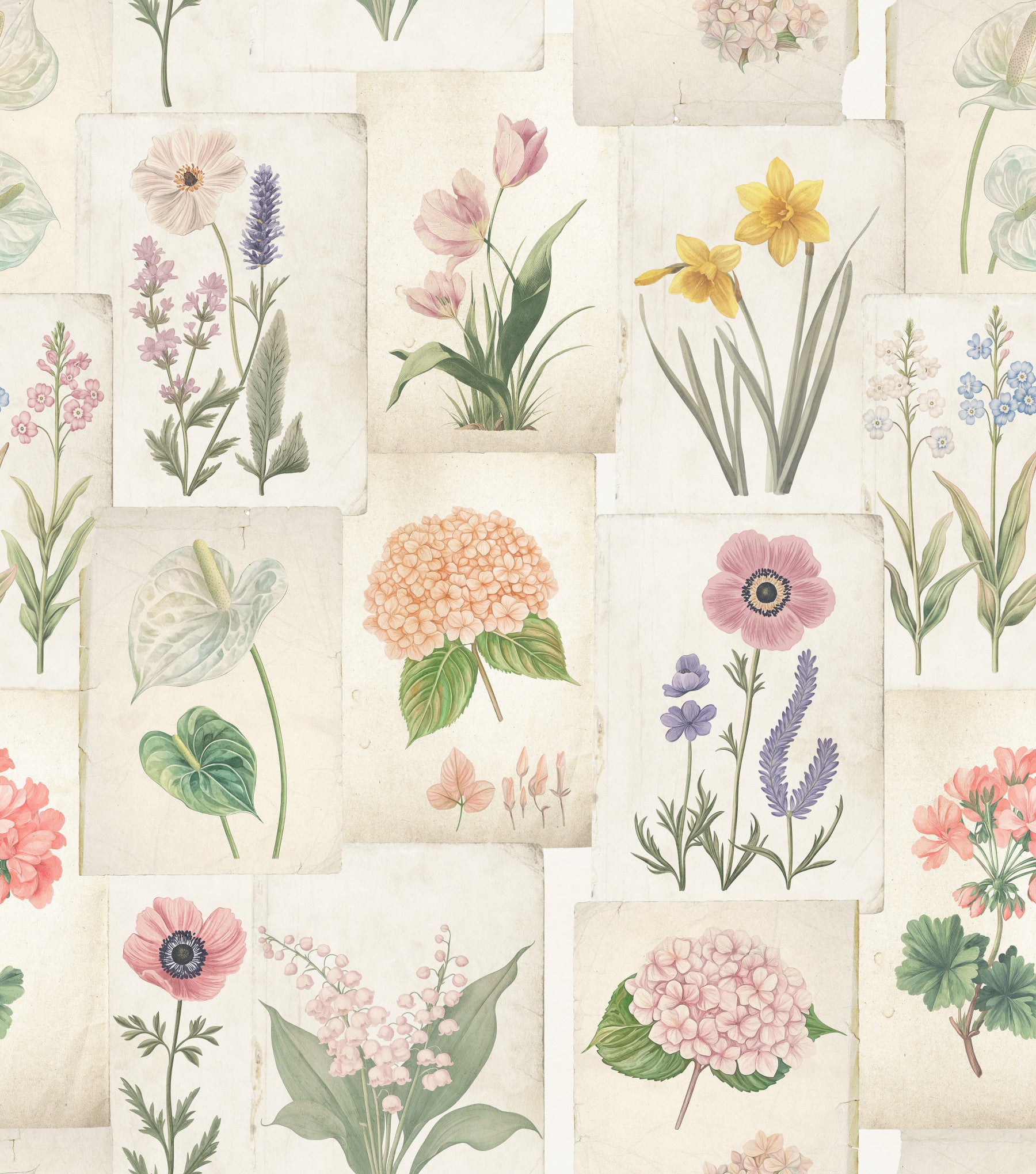 Tapet pastel cu colaj floral botanic