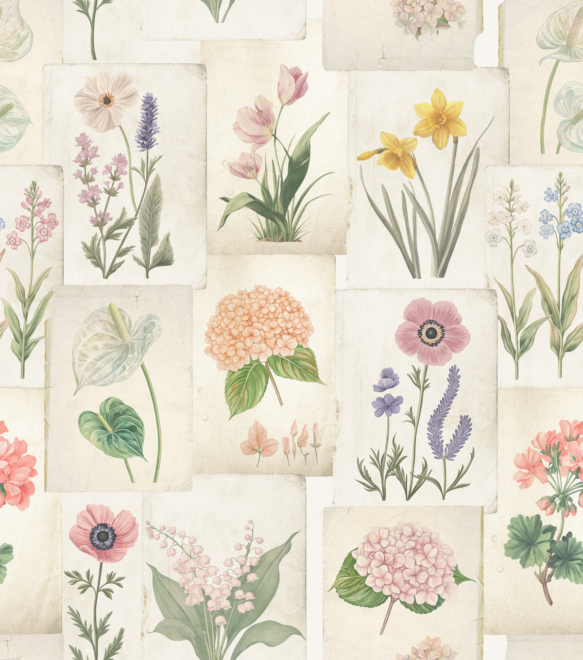 Papier peint collage floral botanique pastel in your room — zoomed