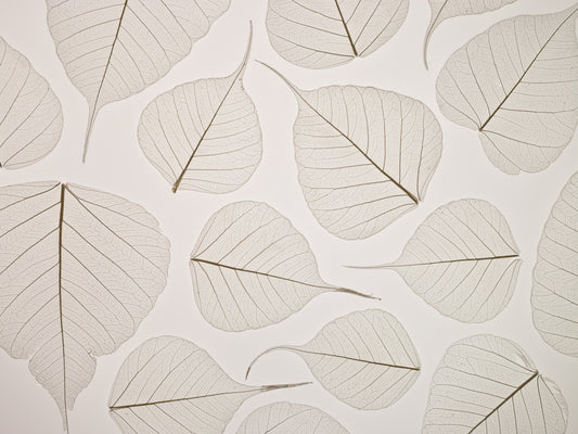 Skeletal Leaves Wall Mural