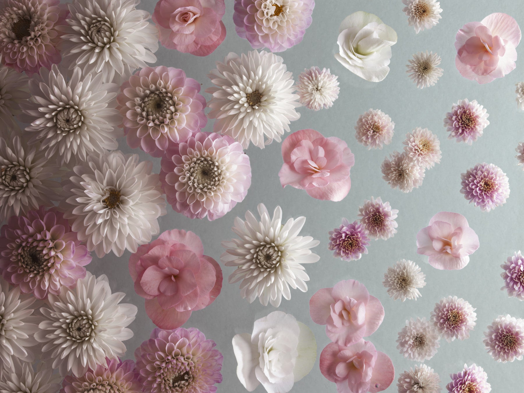 Wandbild „Blüte und Glückseligkeit“ in your room — zoomed