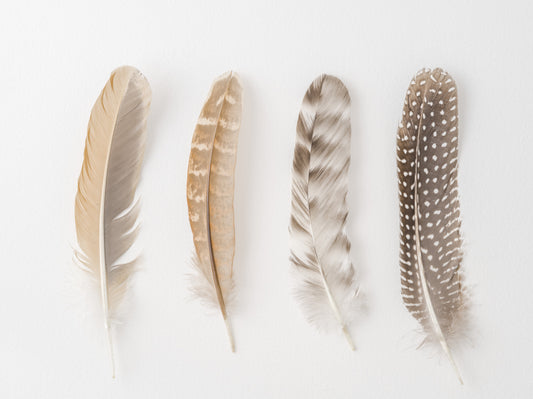 Soft Feather Array Wall Mural