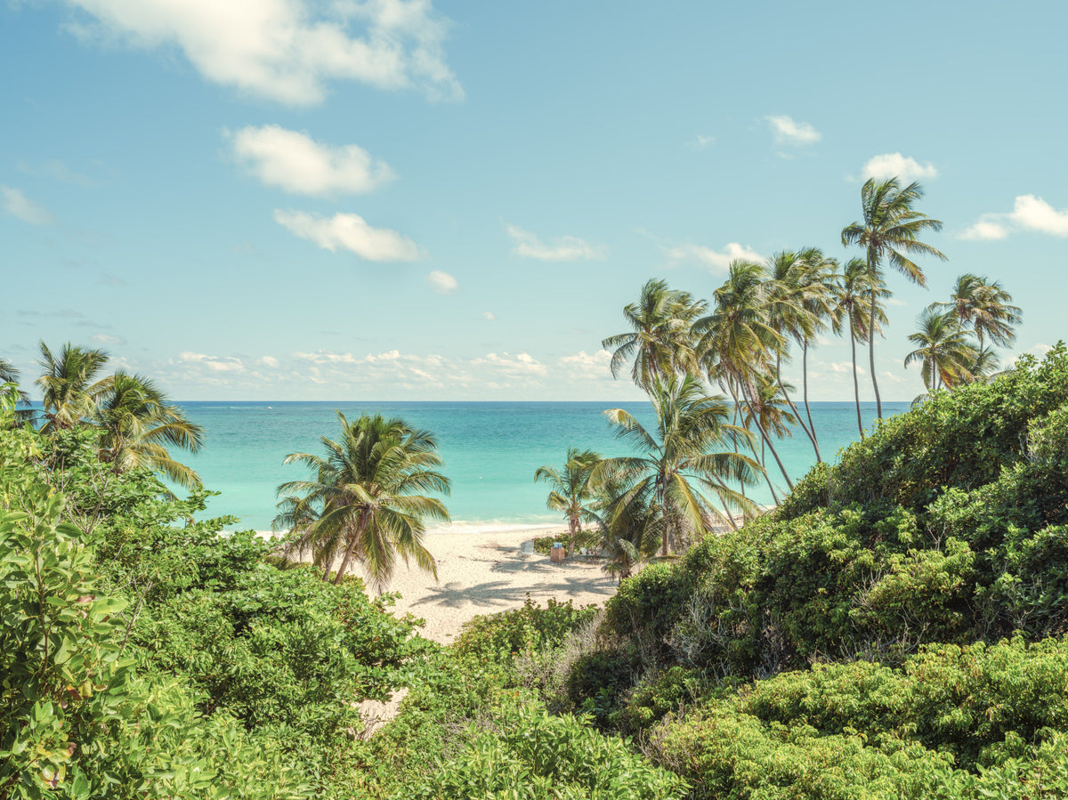 Murale da parete "Serene Coastal Paradise"