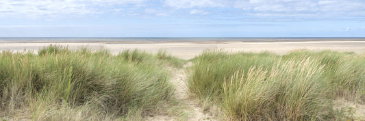 Wandgemälde „Grasland am Meer“