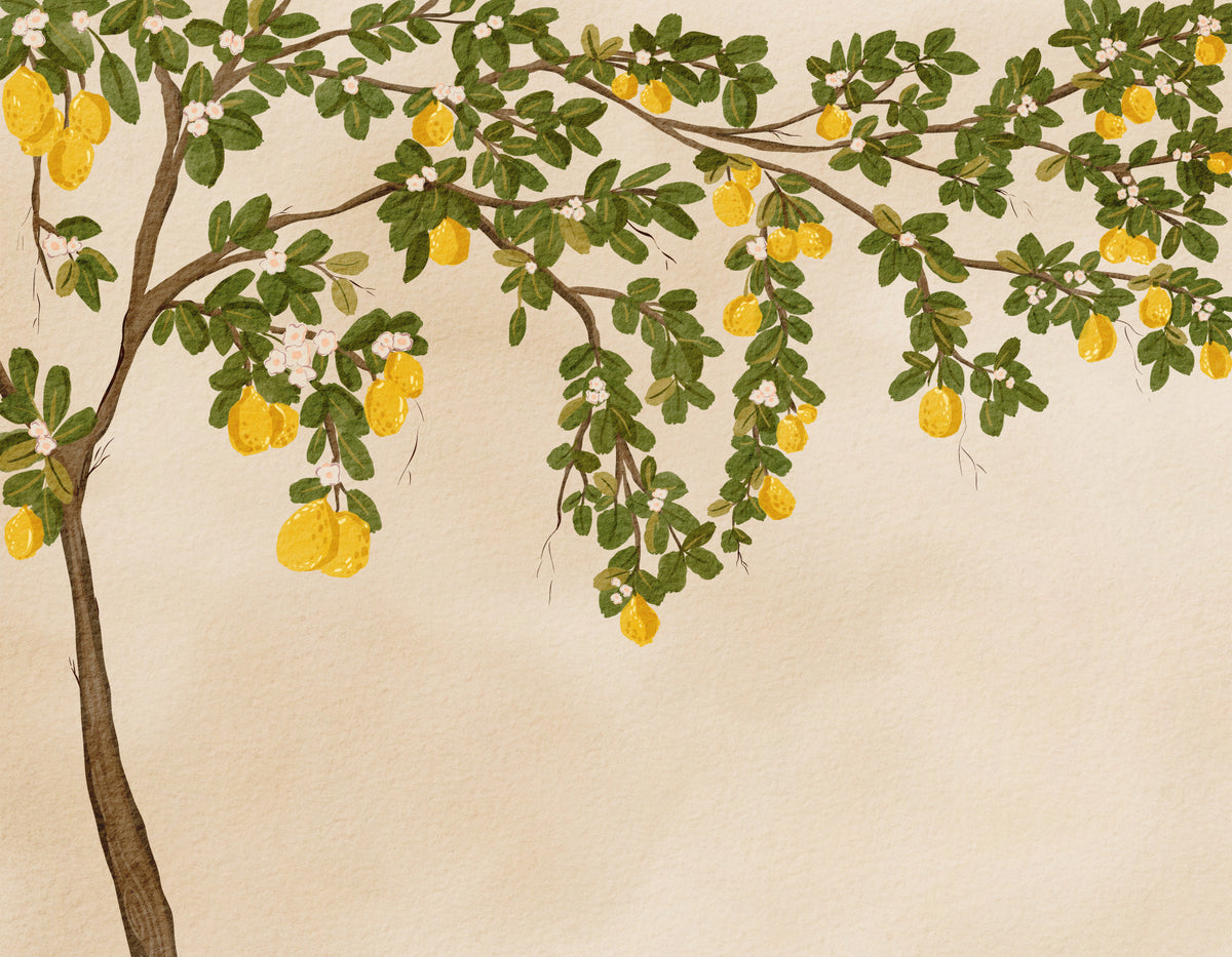 Fototapet cu flori de Lemon Grove in your room — zoomed