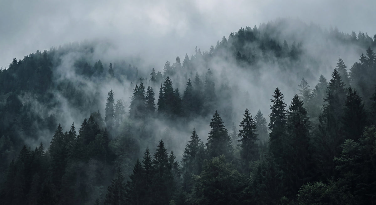 Wandgemälde „Aufstieg durch den Nebelwald“