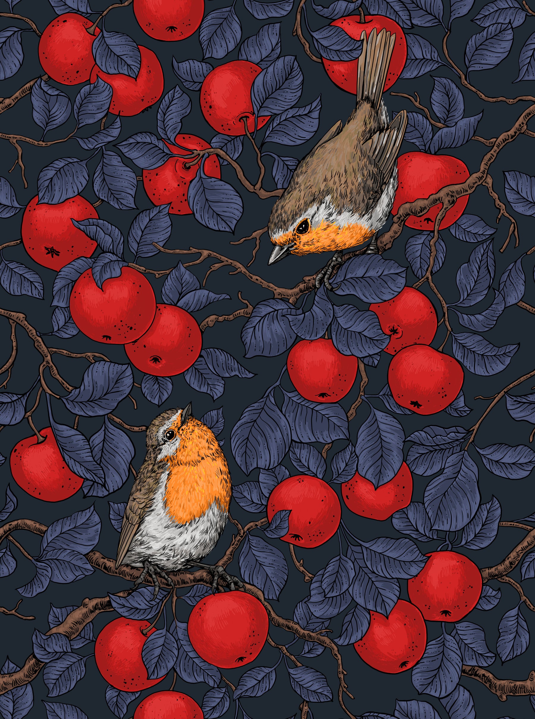 Robins in the apple tree/blue and red  Wallpaper⁠
