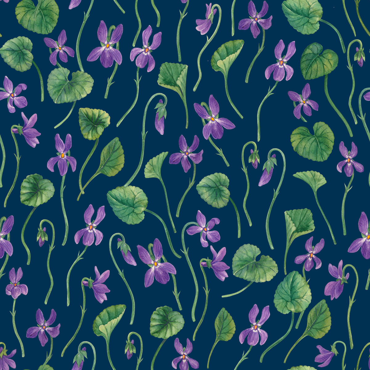 Papier peint violettes aquarelle sur fond bleu in your room