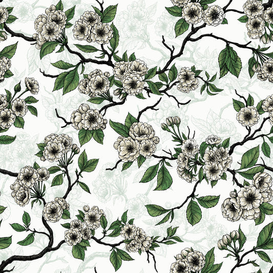 Cherry blossom on white Wallpaper⁠