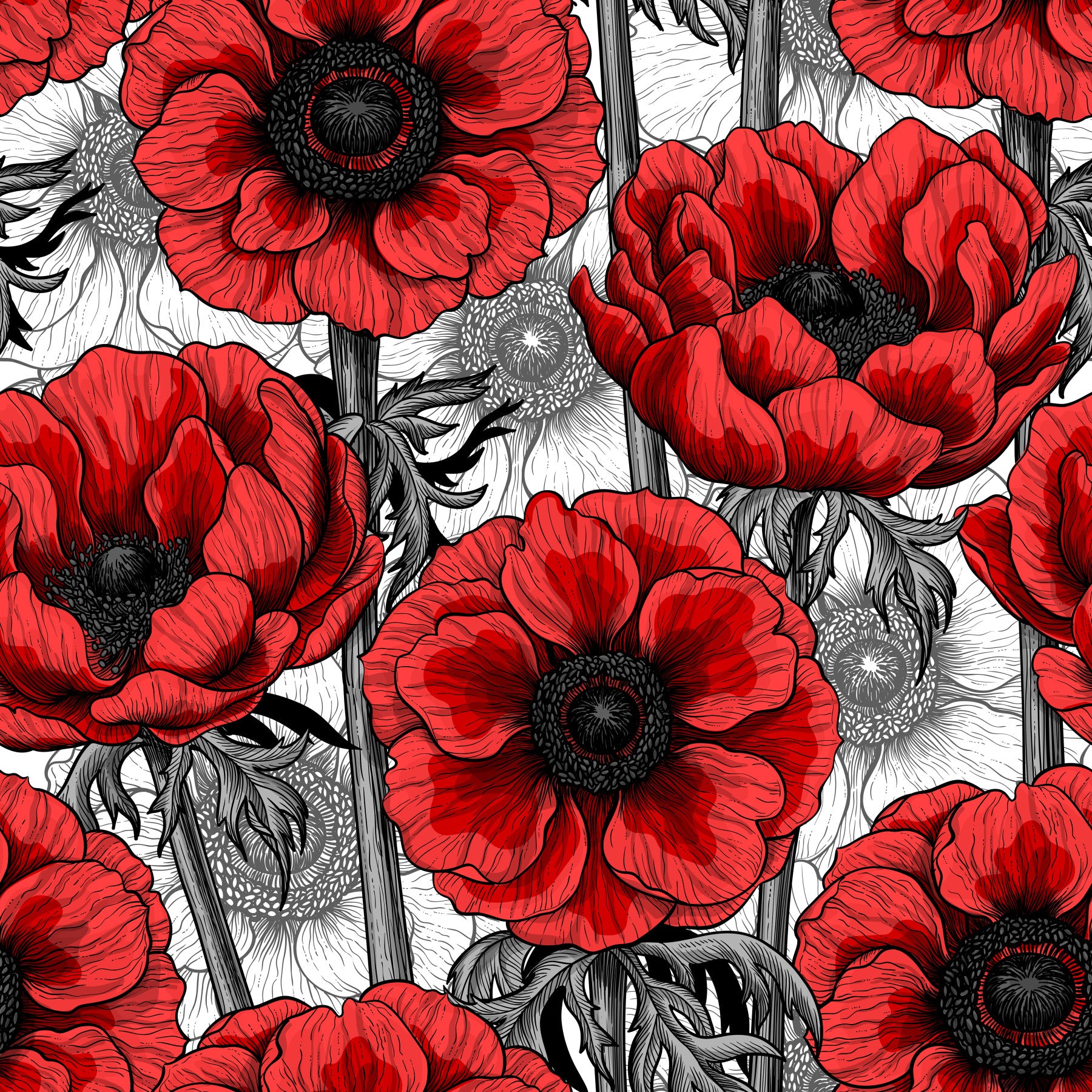 Papier peint jardin d'anémones rouges sur fond blanc