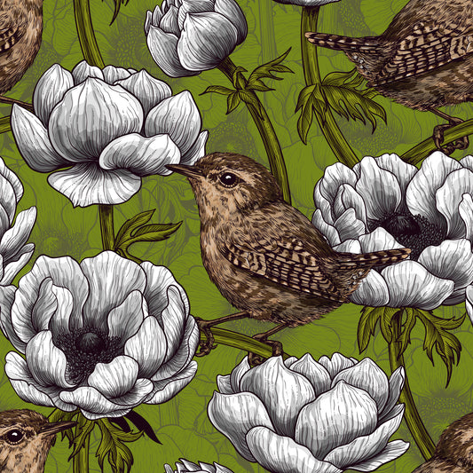 Troglodytes dans le jardin d'anémones blanches Papier peint⁠