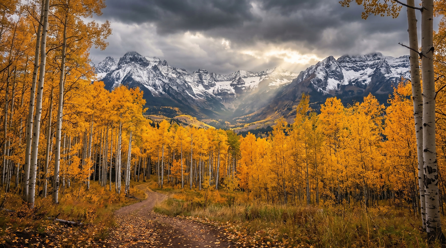 Golden Aspen Majesty Wall Mural
