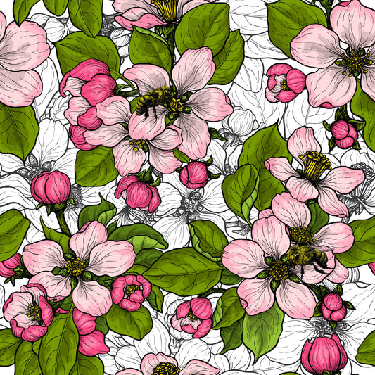 Apple blossom on white Wallpaper⁠