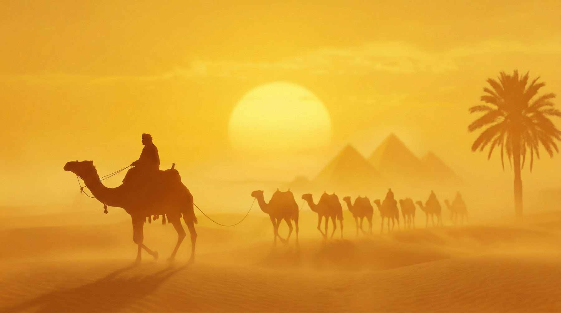 Sands of Time: Wandbild Goldene Wüstenkarawane