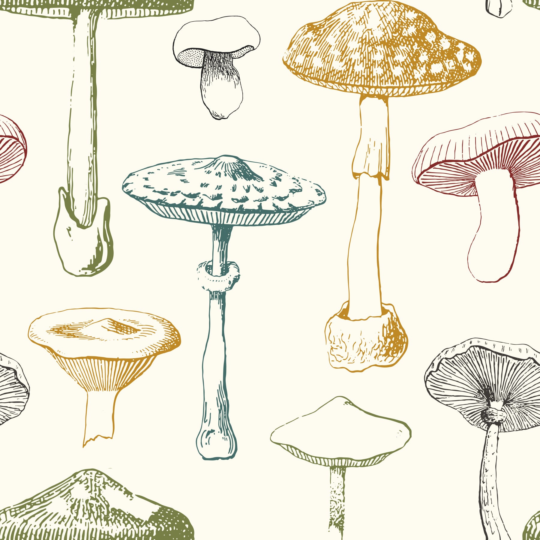 Collection of antique mushrooms Wallpaper
