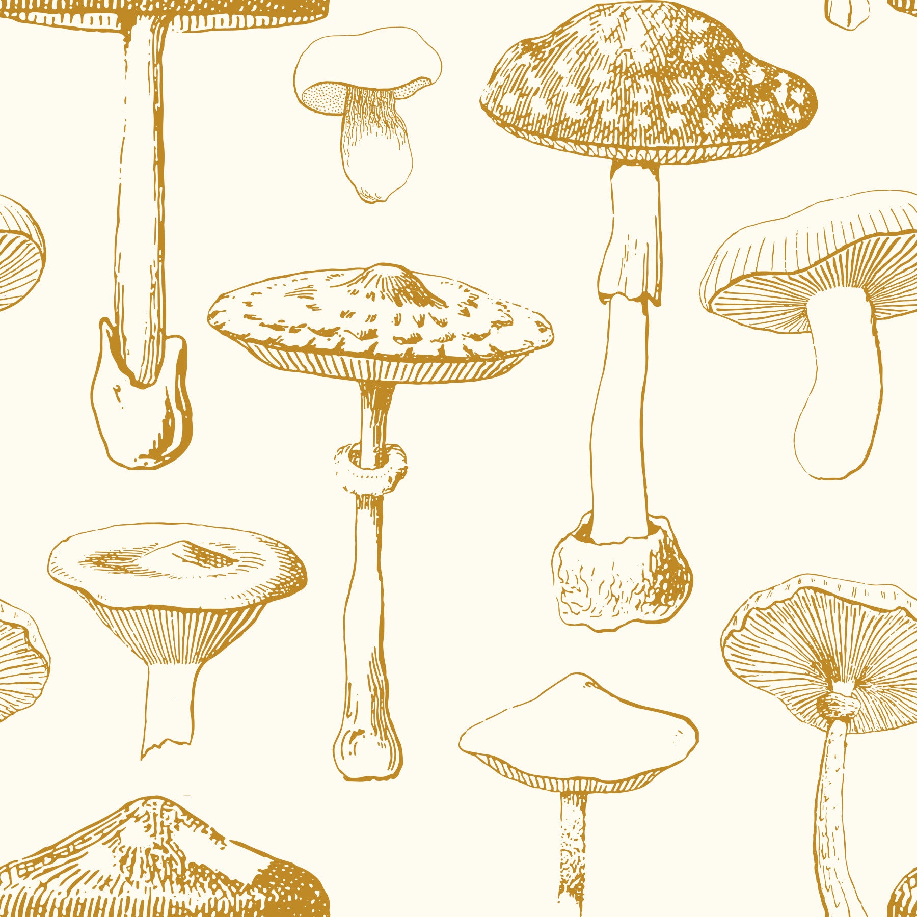 Tapeta Golden Mushroom Sketchbook