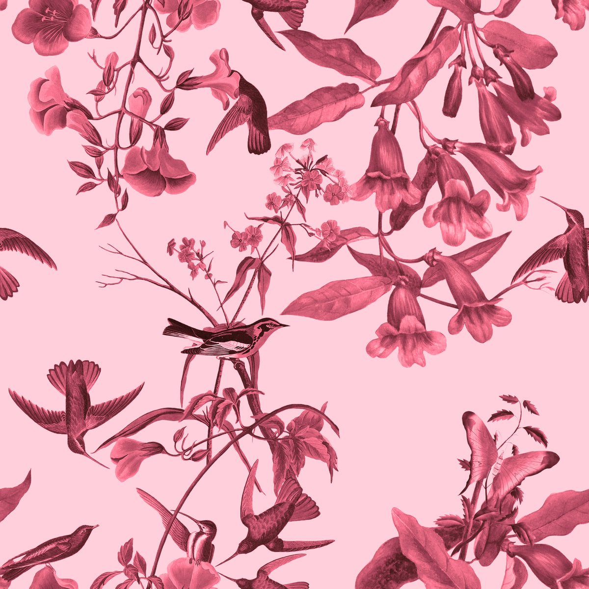 Carta da parati Magenta Botanical Flight in your room — zoomed