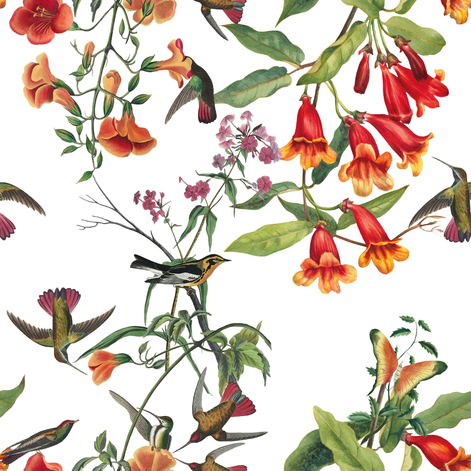 Exotic garden birds and tropical flowers wallpaper